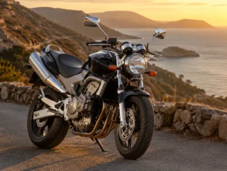 Hornet 600 (CB600F)